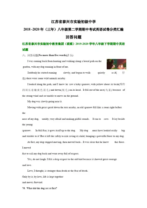 江苏省泰兴市实验初级中学2018-2020年八年级第二学期期中考试英语试卷分类汇编:回答问题
