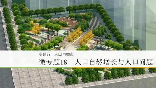 2018届高考地理大二轮复习浙江选考版课件：专题5 人口与城市 微专题18 人口自然增长与人口问题
