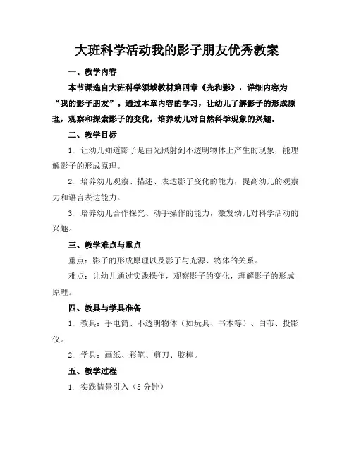 大班科学活动我的影子朋友优秀教案