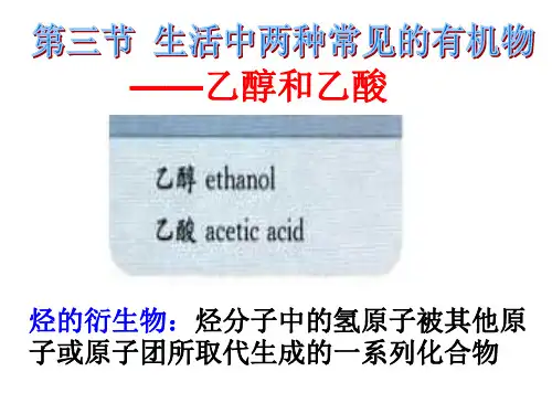 乙醇和乙酸