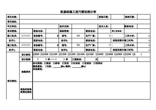桩基础施工进尺情况调查表