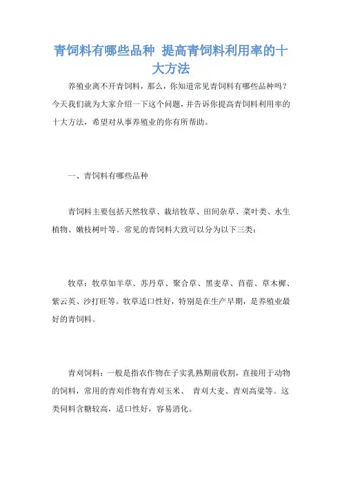 青饲料有哪些品种 提高青饲料利用率的十大方法
