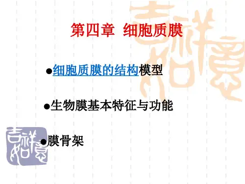 第四章细胞质膜