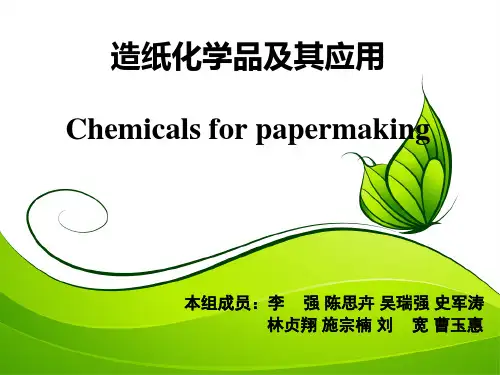 造纸化学品——第五组.pptx