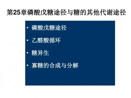 磷酸戊糖途径
