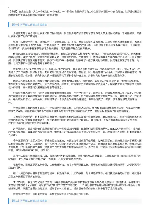 村干部工作能力自我鉴定