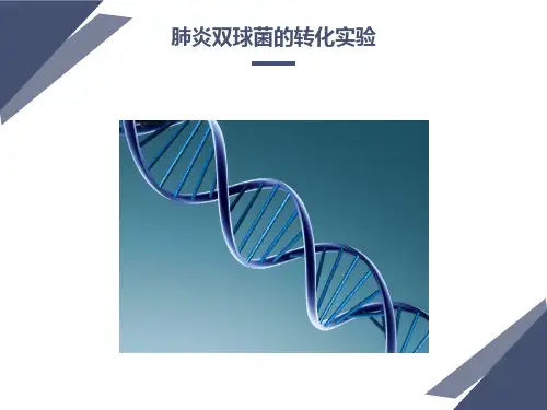肺炎双球菌的转化实验