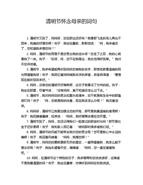 清明节怀念母亲的词句