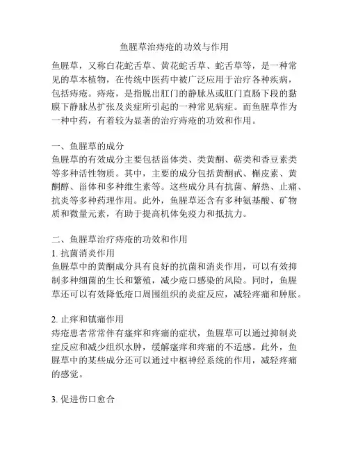 鱼腥草治痔疮的功效与作用