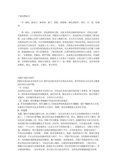 干制动物标本