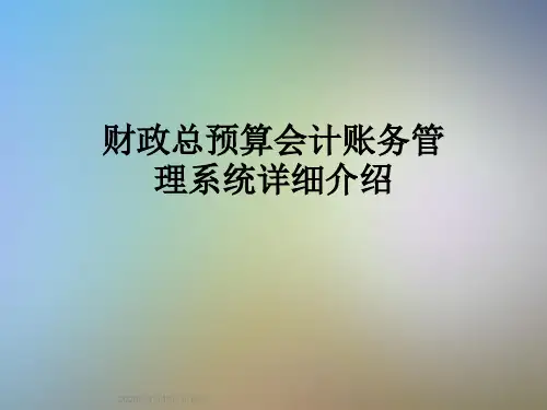 财政总预算会计账务管理系统详细介绍