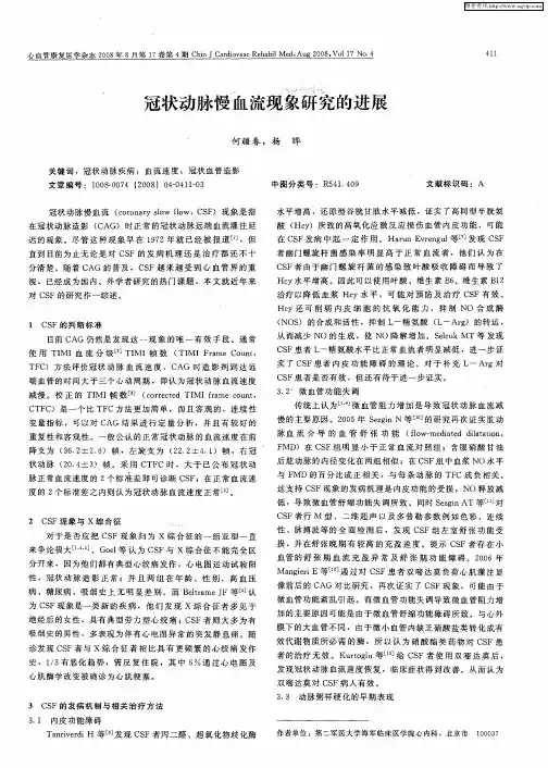冠状动脉慢血流现象研究的进展
