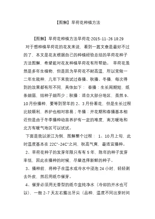 【图解】旱荷花种植方法