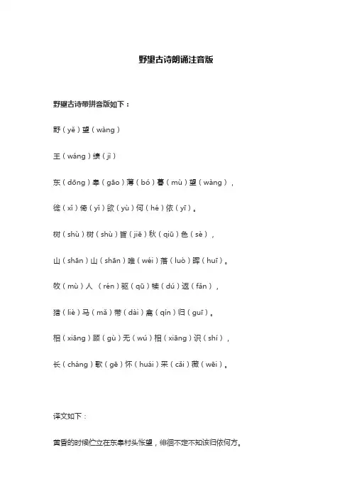 野望古诗朗诵注音版