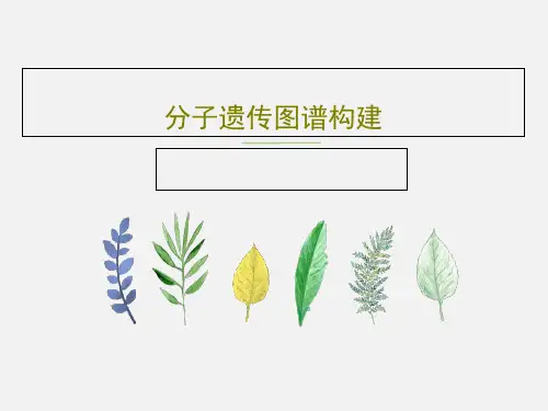 分子遗传图谱构建共40页文档