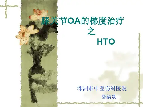 HTO(ppt文档)