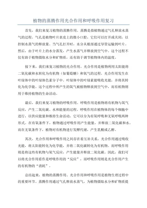 植物的蒸腾作用光合作用和呼吸作用复习