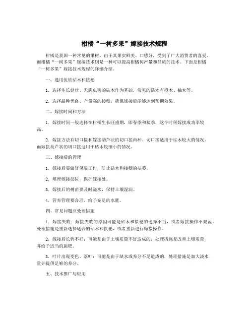 柑橘“一树多果”嫁接技术规程