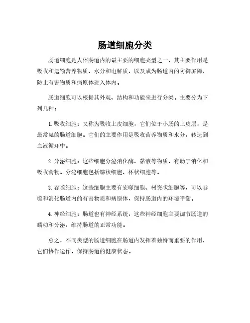 肠道细胞分类