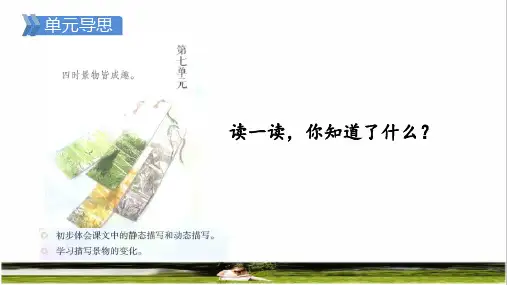 部编版五年级语文上册第七单元第21课《古诗词三首》上课课件