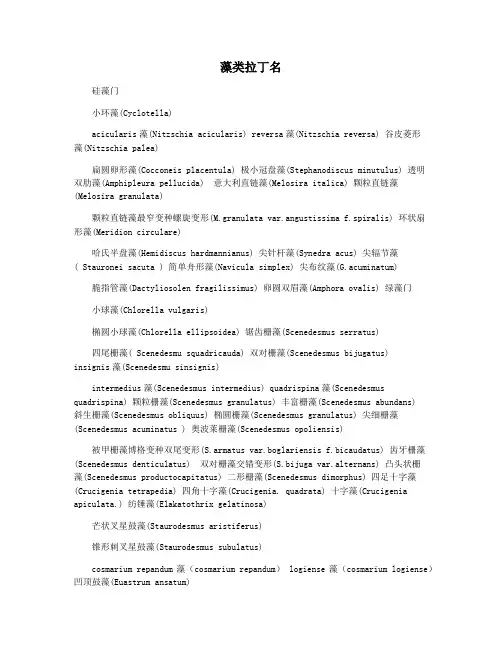 藻类拉丁名