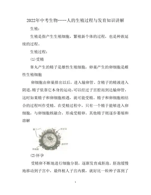 2022年中考生物----人的生殖过程与发育知识讲解