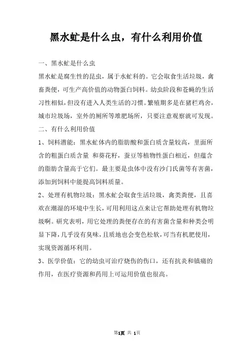 黑水虻是什么虫,有什么利用价值 