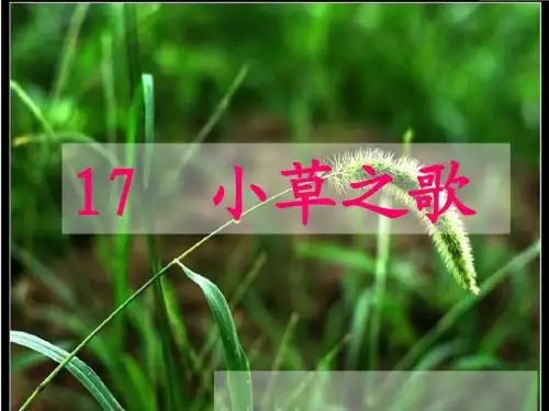小草之歌