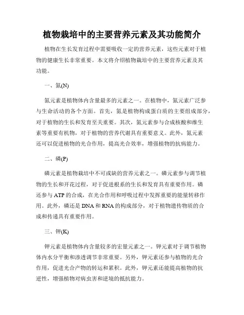 植物栽培中的主要营养元素及其功能简介