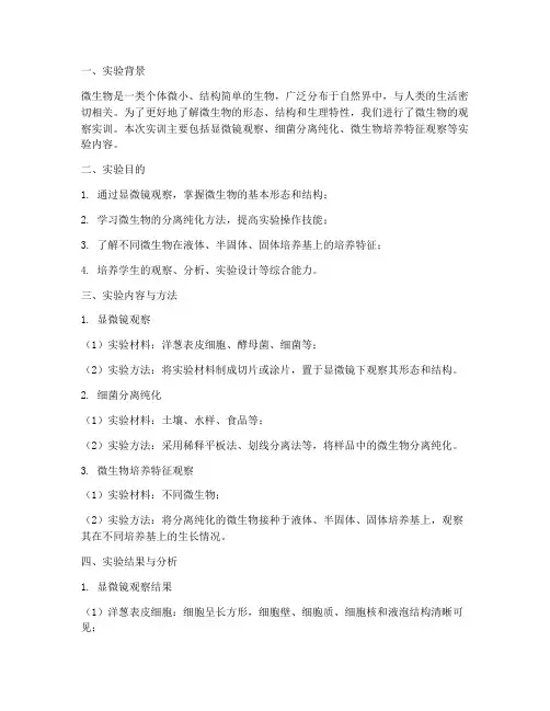 微生物的观察实训报告总结
