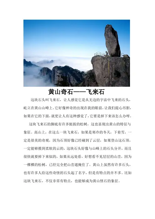 黄山奇石1