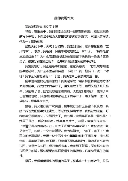 我的发现作文500字5篇
