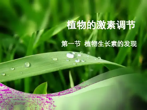 人教版教学课件高中生物人教版必修三第3章第1节：《植物生长素的发现》课件