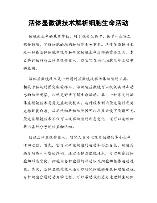 活体显微镜技术解析细胞生命活动