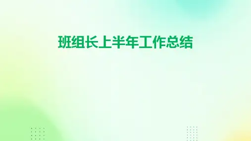 班组长上半年工作总结PPT
