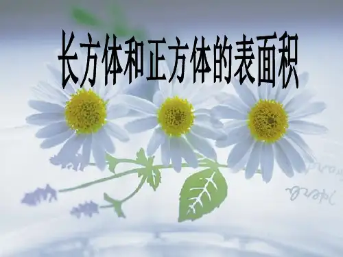 长方体正方体表面积(练习课)