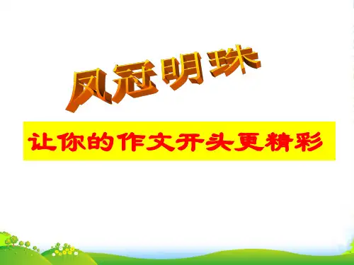广东省珠海市金海岸中学高三语文 作文专题 作文开头1复习课件