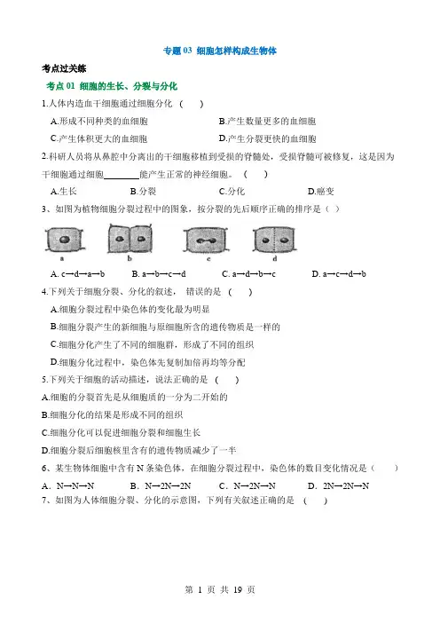 2024中考生物一轮复习讲练测专题03 细胞怎样构成生物体(练习)