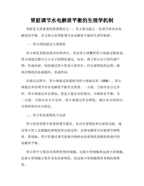 肾脏调节水电解质平衡的生理学机制