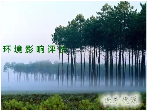 生态评价_精品文档