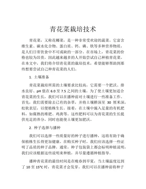 青花菜栽培技术