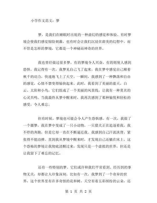 梦的小学作文范文