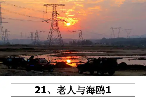最新21、老人与海鸥1教学讲义ppt