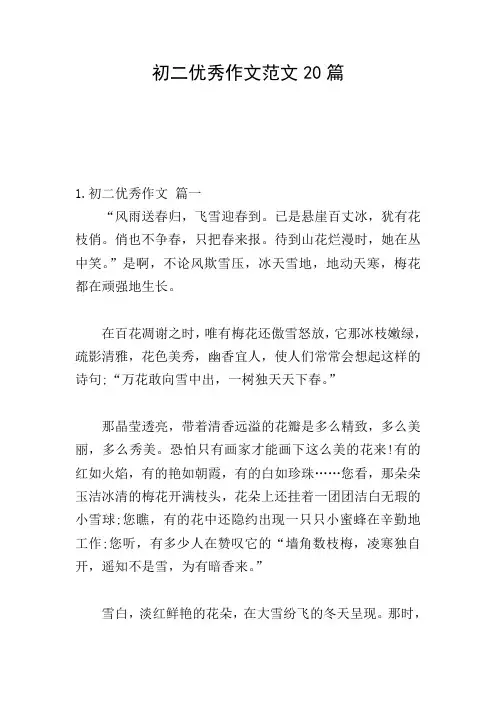 初二优秀作文范文20篇