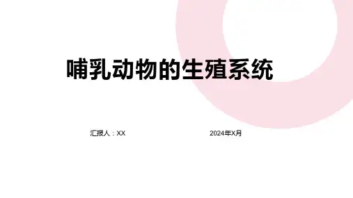 哺乳动物的生殖系统