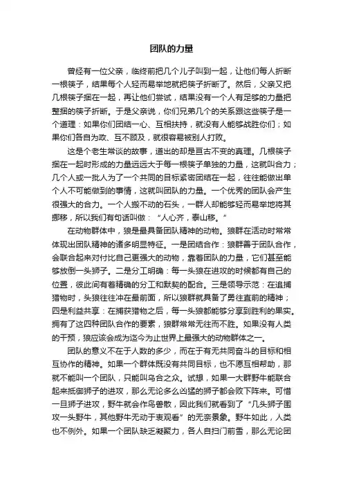 团队的力量