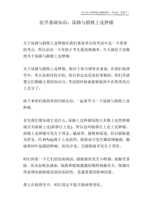 医学基础知识：尿路与膀胱上皮肿瘤