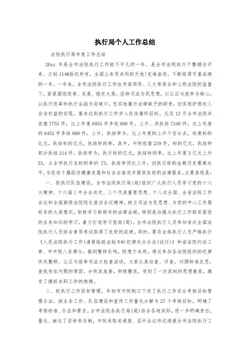 执行局个人工作总结