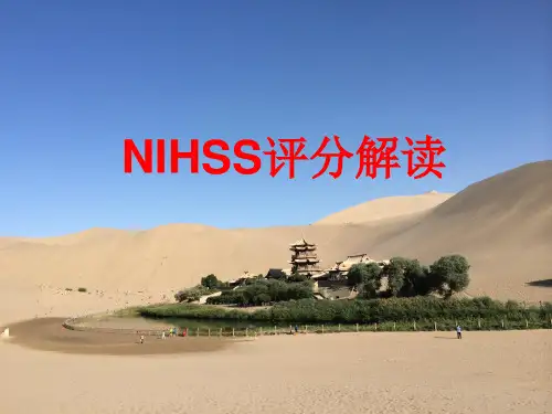 NIHSS评分解读最新版