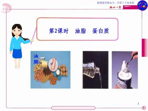 第2课时  油脂  蛋白质
